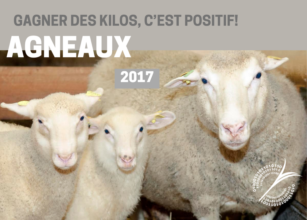 Informations complémentaires : GAGNER DES KILOS, C'EST POSITIF! - AGNEAUX 2017